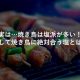 焼き鳥に合う塩